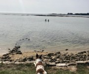 vue sur le golf du morbihan au bout du jardin kuzheol
