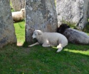 découvrez les environs du gite kuzheol dolmen finistere